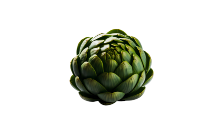 Photo of green artichoke isolated on transparent background.png