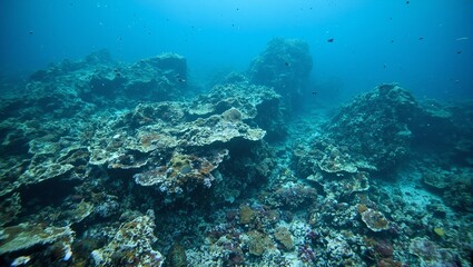 Obraz premium An eerie underwater scene of a devastated coral reef covered in oil spills showcasing the sad demise of marine life