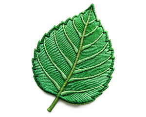 Obraz premium green leaf isolated on white background