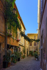 Fototapeta premium Ancient and picturesque street in the historic district Trastevere in Rome, Italy