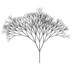 Obraz premium Detailed Fractal Tree Branching Pattern Design Element