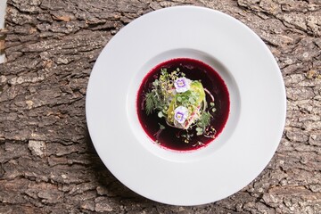 Borscht modern served