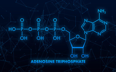 Adenosine Triphosphate Chemical Formula glowing on Dark Blue Background