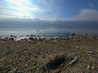 Cloudy shore