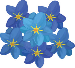 Blue Flower Transparent Image

