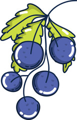Blueberry Branch Vector Image

