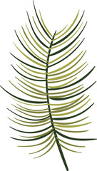 Naklejka premium Branch Pine Tree Foliage Nature Icon Design