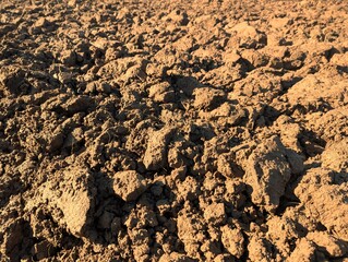 Field soil