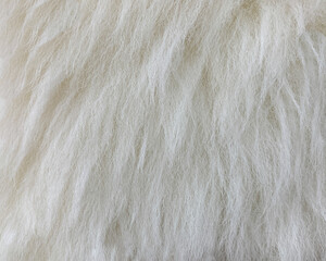 Close-up of white goat fur texture - soft and fluffy natural background