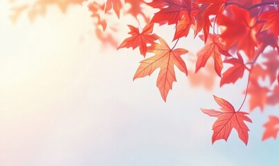 Fototapeta premium Vivid red maple leaves on a bright autumn sky background, their intricate veins highlighted by sunlight for a vibrant seasonal aesthetic