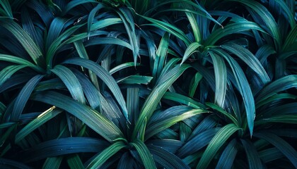 Fototapeta premium Plants leaves moody background, green blue green dark foliage texture