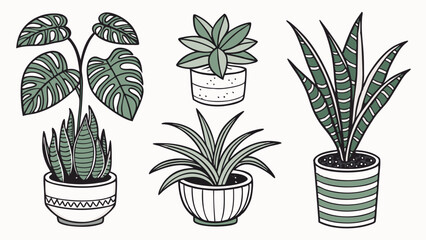 Set of isolated houseplants in pots - Detailed vector illustration on white background, including monstera, ficus, sansevieria, fern, pilea and succulent