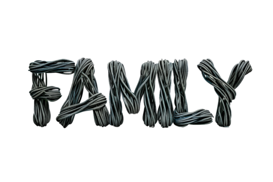 Bold Typographic Design Featuring the Word FAMILY