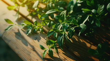 Obraz premium fresh green leaves on wooden table