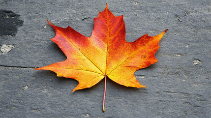 A colorful autumn leaf rests on the ground, symbolizing change and renewal, set against a peaceful natural backdrop, evoking calm, reflection, and the beauty of nature’s cycles