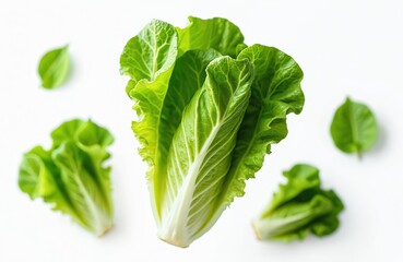 Fototapeta premium Fresh green lettuce leaves float on white background. Healthy, vibrant greens. Close up view of organic vegetable. Ideal for food or healthy living themes. Creative, abstract visual of fresh produce.