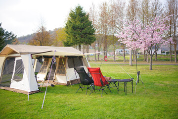北海道洞爺湖町「洞爺水辺の里 財田キャンプ場」の桜