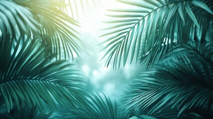 Obraz premium Intricate palm leaves backlit by warm sunlight on soft blue gradient