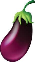 Fresh Whole Eggplant