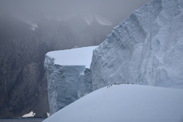 Penguins on mountain of ice in Antarctica