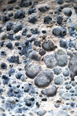 Close up of Textured Surface 