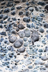 Close up of Textured Surface 