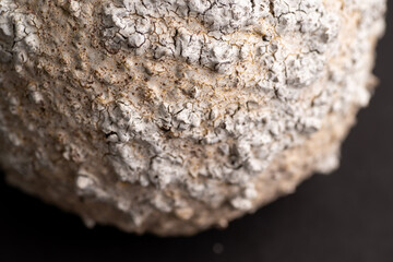 Close up of Textured Surface 