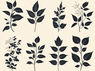 A collection of various leaf illustrations in black silhouette style.
