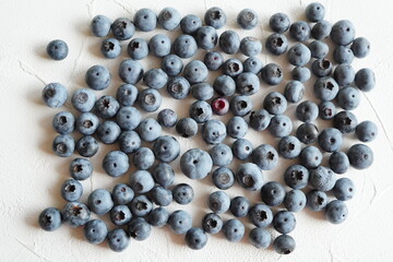 ブルーベリー狩りで摘み取りしてきた大きくて甘いブルーベリー。