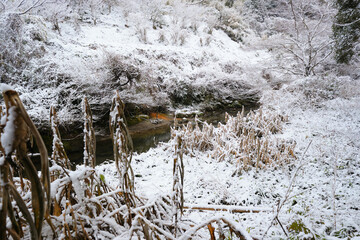 雪が降る静かな川の景色
