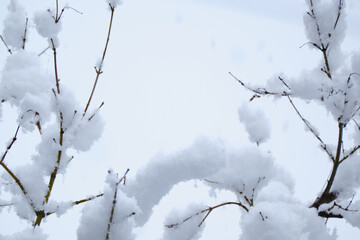 雪の隙間