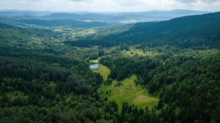 Scenic Aerial View of Dense Forest Valley with Small Lake and Distant Mountains