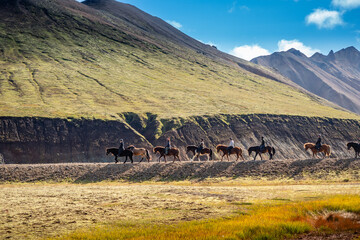 Group of horse riders crossing in a vibrant mountain setting Landmannalaugar, surrounded by...
