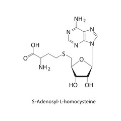 S-Adenosyl-L-homocysteine skeletal structure.Toxin compound schematic illustration. Simple diagram, chemical structure.