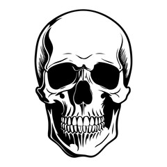Skull and Crossbones Vector Illustration with Human Skull and Bones