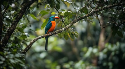 A striking toucan with bright feathers sits gracefully on a branch in the heart of a verdant rainforest, surrounded by rich greenery and dappled sunlight peeking through leaves