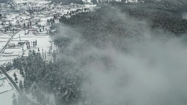 Aerial drone forward-moving shot, flying over a dense coniferous forest covered with white snow on a cold winter day in Pakistan, Kalam, Swat.
