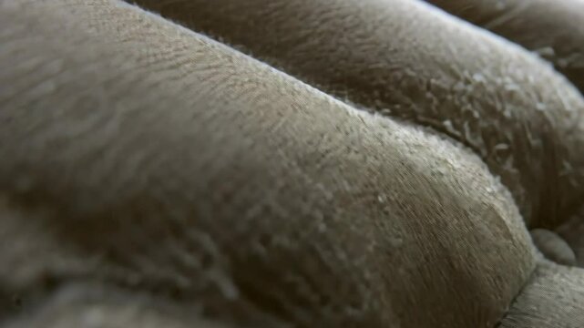 Close-up of dust and pet dander accumulation on upholstered fabric surface, highlighting allergy triggers