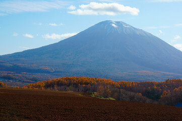 晩秋の羊蹄山、山頂の初雪と山麓の紅葉
