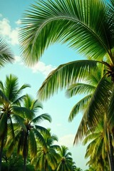 Palm fronds and branches of coconut trees rustling in the wind, isolated garden, natural serenity, peaceful scene