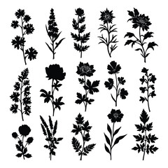 Set of flower and leaves silhouettes. Floral design elements, icons, shapes. Wild and garden flowers, leaves black and white outline illustrations isolated on white background