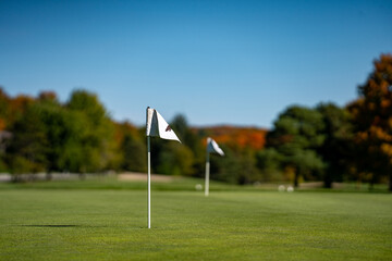 View of a golf course