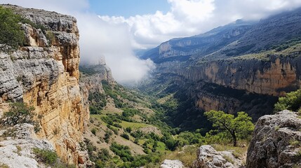 Mountain canyon landscape, mist, valley, greenery, rocks. Travel, nature