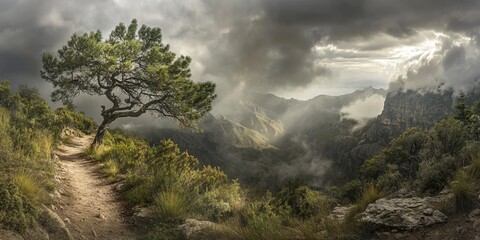 Obraz premium Mountain path, lone tree, misty valley, dramatic sky