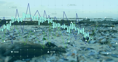 Financial data chart image over rocky beach background