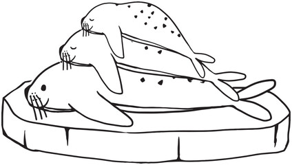 手書きのかわいいあざらし親子のイラスト © foolchico