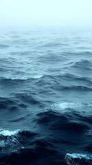 Fototapeta premium Distant Stormy Ocean Waves