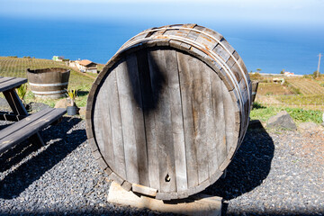 Visit of caves with oak barrels, wine making on bodegas wineries on volcanic soils of Mount Teide...