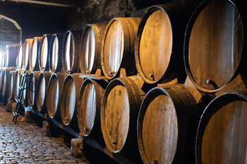 Visit of old caves with oak barrels, wine making on bodegas wineries on volcanic soils of Mount...