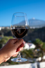 Wine making on bodegas wineries on volcanic soils of Mount Teide in Ycoden-Daute-Isora wine region...